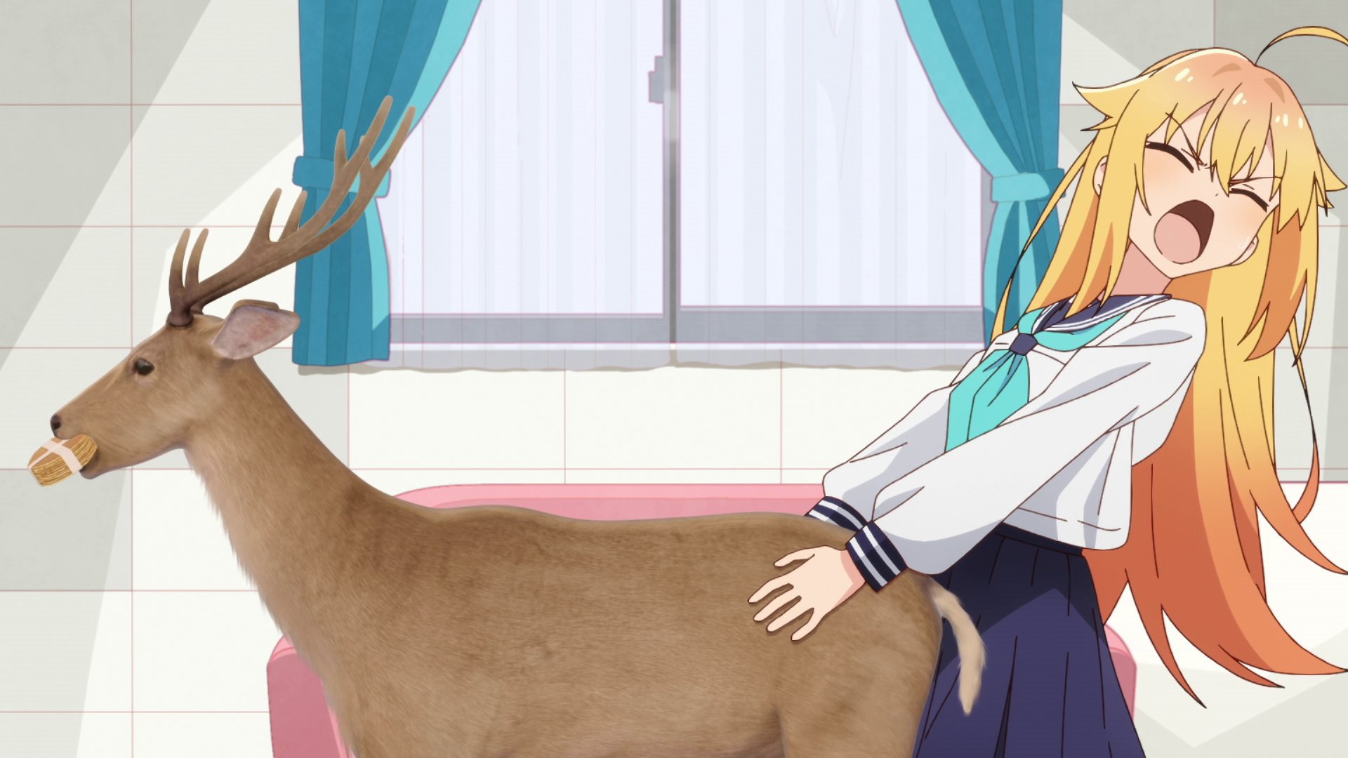 【简单公告】转站通知